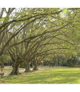 838_parqueibirapuera-sp_foto_g_20130417150420 838_parqueibirapuera-sp_foto_g_20130417150420