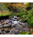 872_apaisagem16_foto_g_20151011111055 872_apaisagem16_foto_g_20151011111055